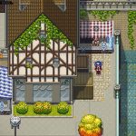 CrossCode-02