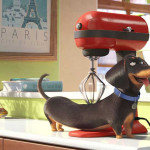 The-Secret-Life-of-Pets-005