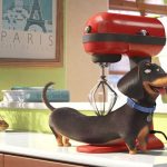 The-Secret-Life-of-Pets-005