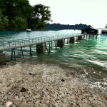 Ultimate-Fishing-Simulator-006