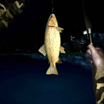 Ultimate-Fishing-Simulator-008