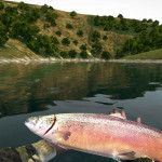 Ultimate-Fishing-Simulator-010