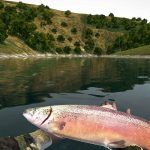 Ultimate-Fishing-Simulator-010