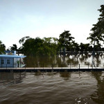 Ultimate-Fishing-Simulator-015