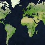 Age-of-Civilizations-II-02