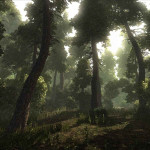 Risen-01