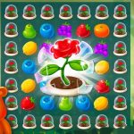 Sweet-Fruit-Candy-11