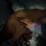 Until_Dawn_PS3_06