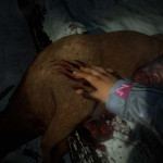 Until_Dawn_PS3_06