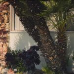 Clean-Bandit-Solo-feat-Demi-Lovato-03