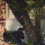 Clean-Bandit-Solo-feat-Demi-Lovato-03