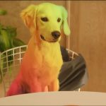 Clean-Bandit-Solo-feat-Demi-Lovato-18