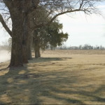 I-Can-Only-Imagine-05