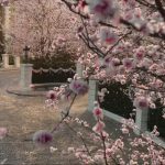 Mary-Poppins-Returns_07