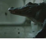 OneRepublic-Counting-Stars-04