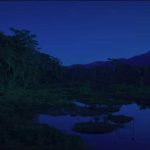 Say-My-Name-David-Guetta-Bebe-Rexha-J-Balvin02