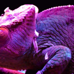 Say-My-Name-David-Guetta-Bebe-Rexha-J-Balvin05