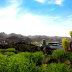 Tourist-Bus-Simulator-14