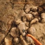 Treasure-Hunter-Simulator-29