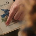 Beauty-and-the-Beast-2017-02