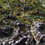 Medieval-Kingdom-Wars-05