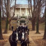 The-Greatest-Showman-14