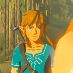 The-Legend-of-Zelda-Breath-of-the-Wild-12