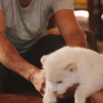 Mia-and-the-White-Lion-02