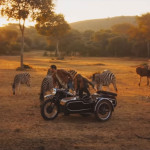 Mia-and-the-White-Lion-08