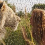 Mia and the White Lion