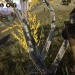 Outlaws-of-the-Old-West-05