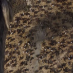 Game-of-Thrones-Season-6-02