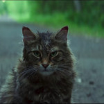 Pet-Sematary-2019-04