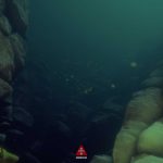 Deep-Diving-Simulator-04