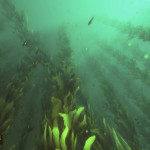 Deep-Diving-Simulator-08