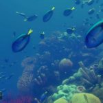 Deep-Diving-Simulator-09