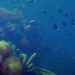 Deep-Diving-Simulator-12