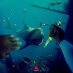 Deep Diving Simulator