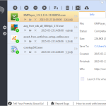 EagleGet-02-Main-Full