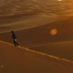 John-Wick-Chapter-3-Parabellum-14