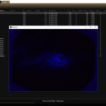 MediaMoneky-08