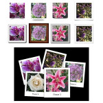 WYSIWYG-Web-Builder-3