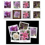 WYSIWYG-Web-Builder-3