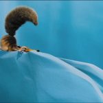 Ice-Age-The-Meltdown-06