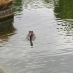 Machinery-HDR-Effects-10