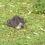 Machinery-HDR-Effects-13