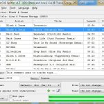 Medieval-CUE-Splitter