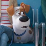 Max (Patton Oswalt) grapples with some pre-exam anxiety at the veterinarian in Illumination’s The Secret Life of Pets 2, directed by Chris Renaud. The-Secret-Life-of-Pets-2-16 Credit: Illumination Entertainment and Universal Pictures