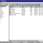 Teleport_Pro_proshot1