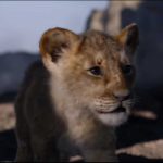 The-Lion-King-2019-07